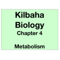 Biology Chapter 4 - Metabolism
